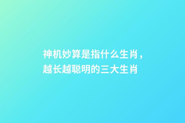 神机妙算是指什么生肖，越长越聪明的三大生肖-第1张-观点-玄机派