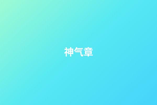 神气章