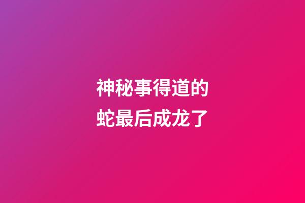 神秘事得道的蛇最后成龙了