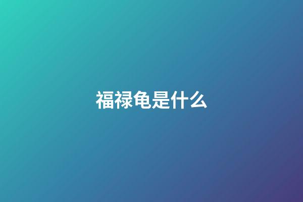 福禄龟是什么