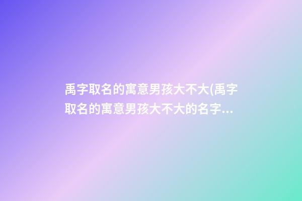 禹字取名的寓意男孩大不大(禹字取名的寓意男孩大不大的名字)