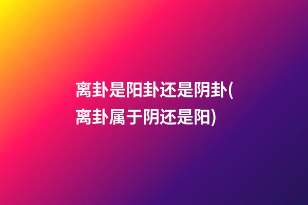 离卦是阳卦还是阴卦(离卦属于阴还是阳)