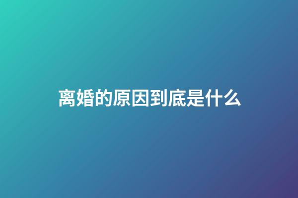 离婚的原因到底是什么