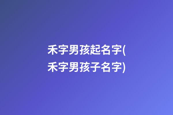 禾字男孩起名字(禾字男孩子名字)