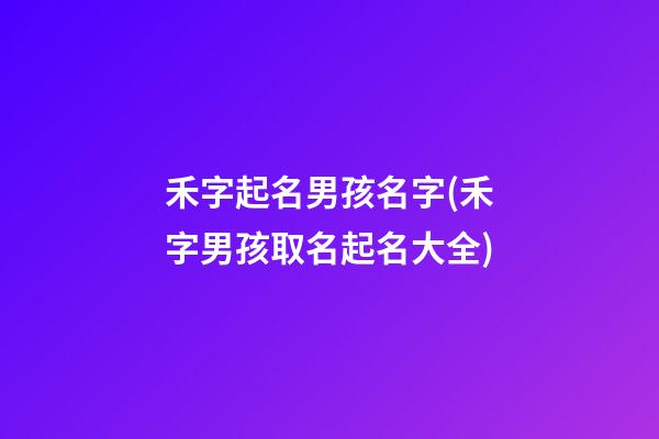 禾字起名男孩名字(禾字男孩取名起名大全)