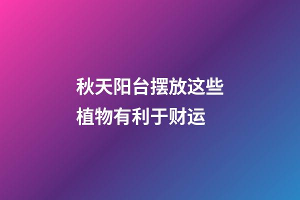 秋天阳台摆放这些植物有利于财运