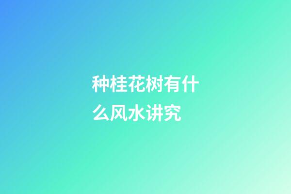 种桂花树有什么风水讲究