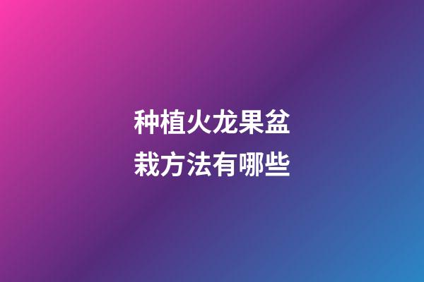 种植火龙果盆栽方法有哪些