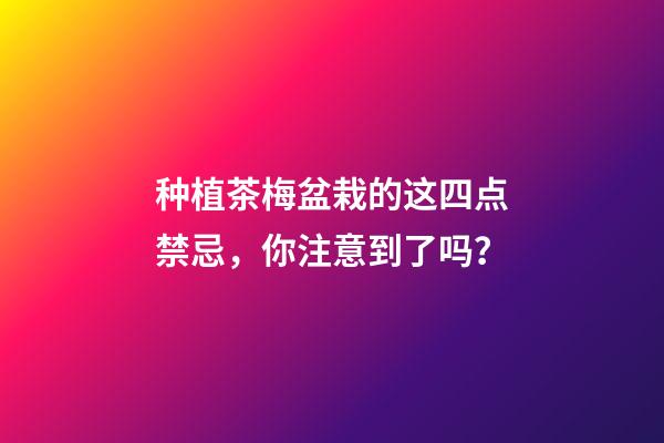 种植茶梅盆栽的这四点禁忌，你注意到了吗？