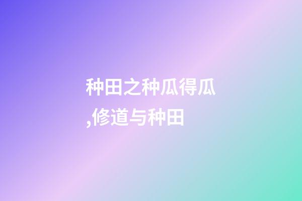 种田之种瓜得瓜,修道与种田(黄帝访道)-第1张-观点-玄机派