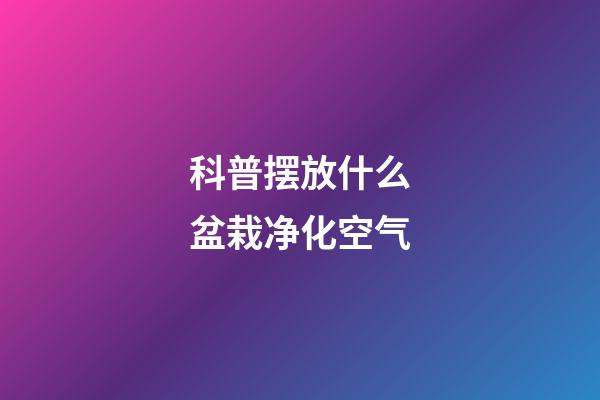 科普摆放什么盆栽净化空气