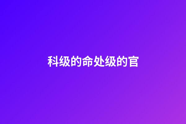 科级的命处级的官