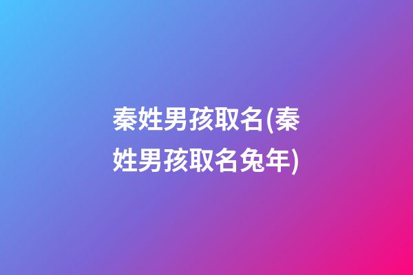 秦姓男孩取名(秦姓男孩取名兔年)