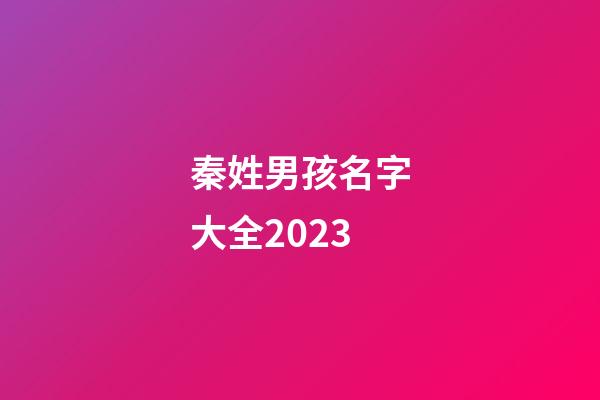 秦姓男孩名字大全2023