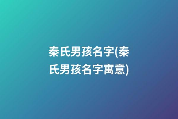 秦氏男孩名字(秦氏男孩名字寓意)