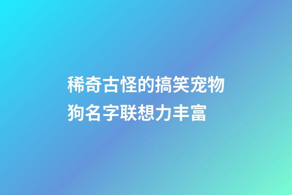 稀奇古怪的搞笑宠物狗名字联想力丰富