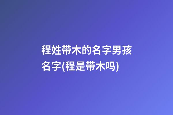 程姓带木的名字男孩名字(程是带木吗)