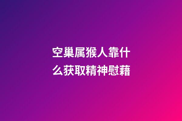 空巢属猴人靠什么获取精神慰藉