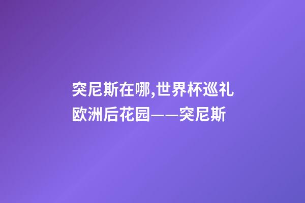 突尼斯在哪,世界杯巡礼欧洲后花园——突尼斯-第1张-观点-玄机派