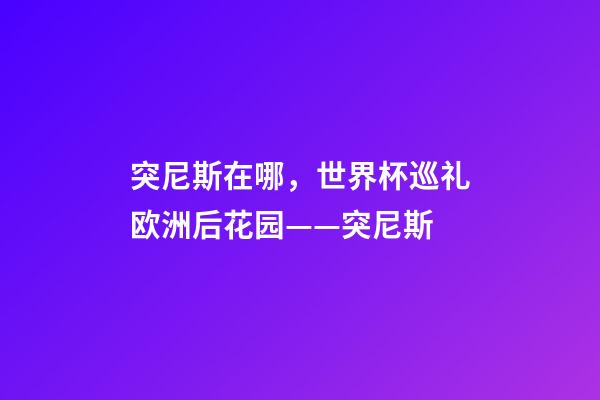 突尼斯在哪，世界杯巡礼欧洲后花园——突尼斯-第1张-观点-玄机派