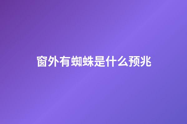 窗外有蜘蛛是什么预兆