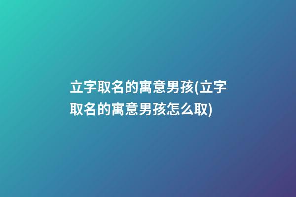 立字取名的寓意男孩(立字取名的寓意男孩怎么取)