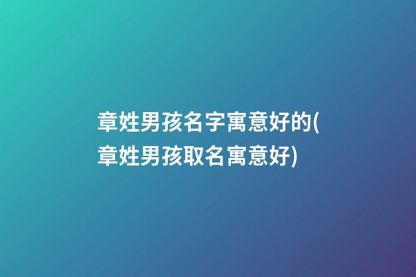 章姓男孩名字寓意好的(章姓男孩取名寓意好)