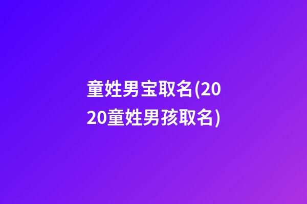 童姓男宝取名(2020童姓男孩取名)