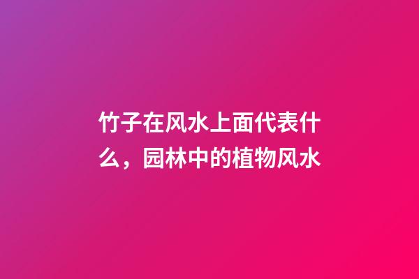 竹子在风水上面代表什么，园林中的植物风水-第1张-观点-玄机派