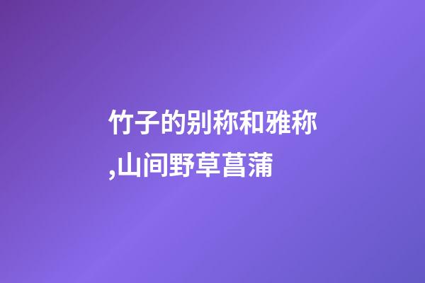 竹子的别称和雅称,山间野草菖蒲-第1张-观点-玄机派