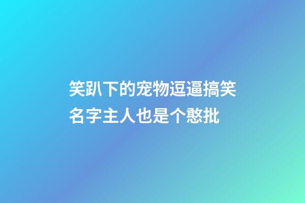 笑趴下的宠物逗逼搞笑名字主人也是个憨批