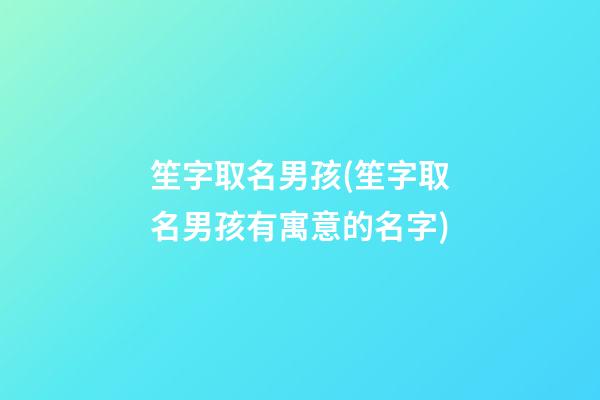 笙字取名男孩(笙字取名男孩有寓意的名字)