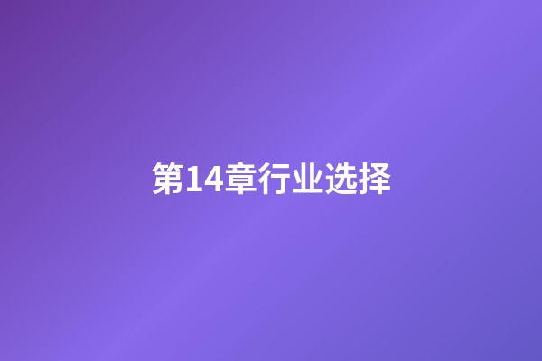 第14章行业选择