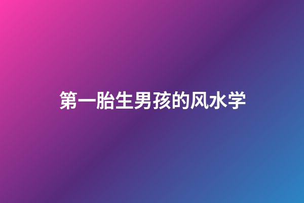 第一胎生男孩的风水学
