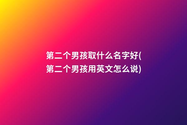 第二个男孩取什么名字好(第二个男孩用英文怎么说)