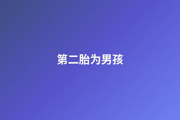 第二胎为男孩