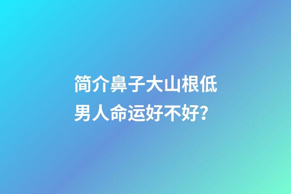 简介鼻子大山根低男人命运好不好？