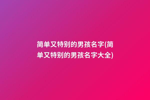 简单又特别的男孩名字(简单又特别的男孩名字大全)