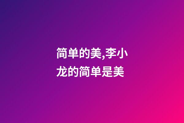 简单的美,李小龙的简单是美-第1张-观点-玄机派