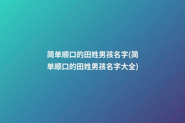 简单顺口的田姓男孩名字(简单顺口的田姓男孩名字大全)