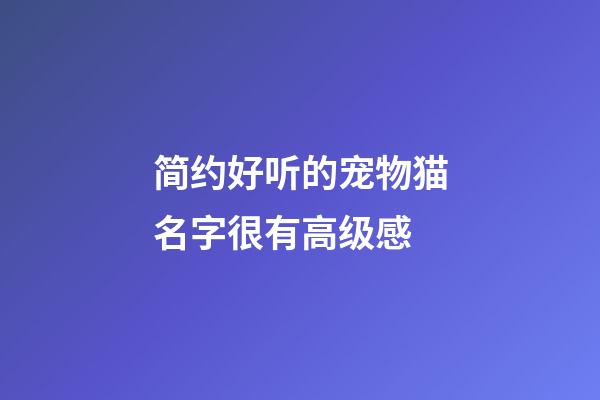 简约好听的宠物猫名字很有高级感