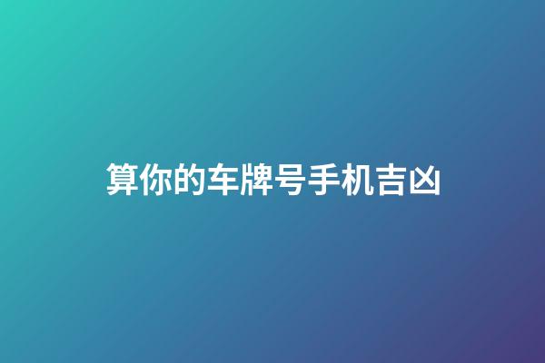 算你的车牌号.手机吉凶