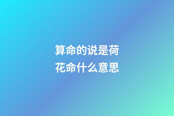 算命的说是荷花命什么意思