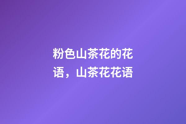 粉色山茶花的花语，山茶花花语-第1张-观点-玄机派