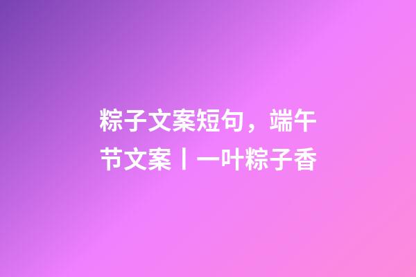 粽子文案短句，端午节文案丨一叶粽子香-第1张-观点-玄机派