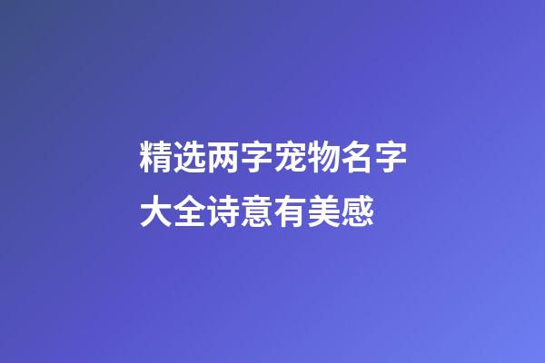 精选两字宠物名字大全诗意有美感
