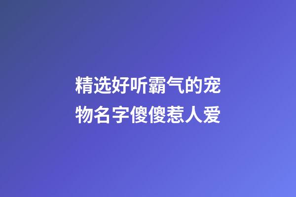 精选好听霸气的宠物名字傻傻惹人爱