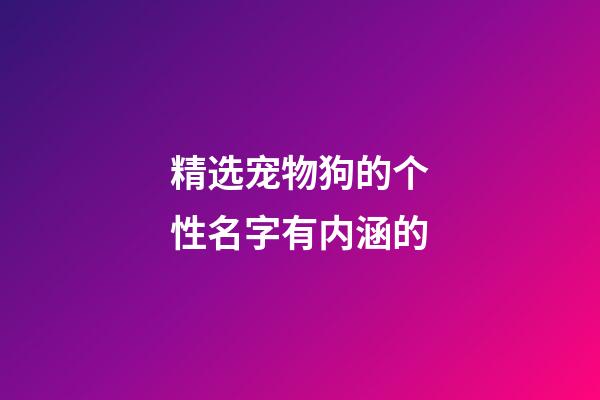 精选宠物狗的个性名字有内涵的