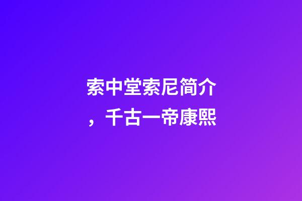 索中堂索尼简介，千古一帝康熙-第1张-观点-玄机派