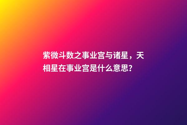 紫微斗数之事业宫与诸星，天相星在事业宫是什么意思？